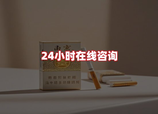 专业团队